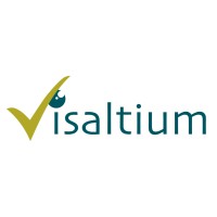 Visaltium logo - Similar company to Sonicon Systems