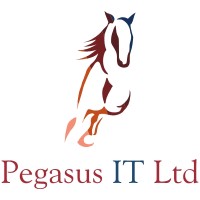 Pegasus IT. logo - Similar company to Diversenet--Technology Procurement, Deployment And Support