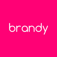 Brandy logo - Similar company to The Flash Company