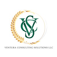 Ventura Consulting Solutions LLC logo - Similar company to Ottmer Consulting, Llc
