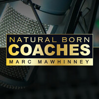 Natural Born Coaches logo - Similar company to Startup Accounting Solutions