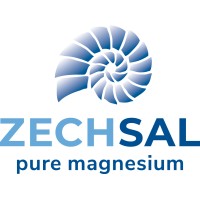 Zechsal pure magnesium logo - Similar company to Nedmag B.V.