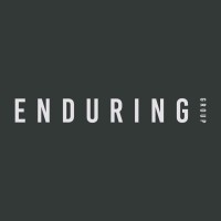 Enduring Group logo - Similar company to Botsparkz