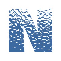 Nanomatronix logo - Similar company to Verdex Technologies Inc.