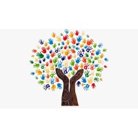 FUNDACIÓN PARA LA ESTIMULACIÓN INTEGRADORA E INCLUSIVA logo - Similar company to Seventips