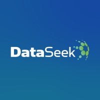 DataSeek logo - Similar company to Dataseek