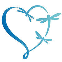 Fondazione Libellule Insieme ETS logo - Similar company to Care Up Srl