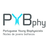Portuguese Young Biophysicists @ PYBphy logo - Similar company to Shield - Molecular Strategies Against Viral Entry And Glycan Shielding
