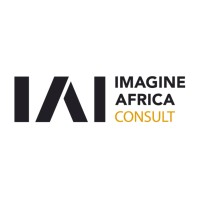 Imagine Africa Consult