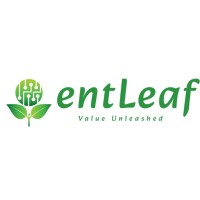 entLeaf Technologies LLC logo - Similar company to Fox Tech Mech Engineers Pvt Ltd