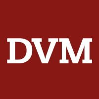 D. V. Mannion & Co. Ltd. logo - Similar company to Smartax Accountancy Ltd