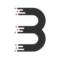 BitRefine Group logo - Similar company to Rina Systems, Llc