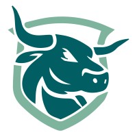 Taurus IT Inc logo - Similar company to American Analyst