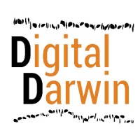 DigitalDarwin - NT, Australia logo - Similar company to Discover Darwin Australia