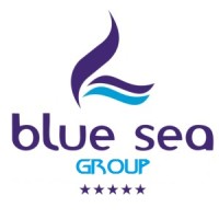 BSG logo - Similar company to Sun Corporation Fabricators Engineers