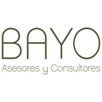 Bayo Asesores y Consultores logo - Similar company to Sernivel3