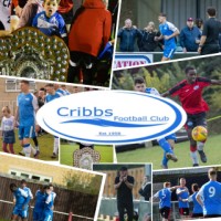 Cribbs FC logo - Similar company to Larkhall Athletic Football Club