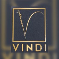 SOCIETE VINDI II SARL logo - Similar company to Etc Group