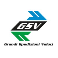GSV Grandi Spedizioni Veloci Srl logo - Similar company to Meta Experiences