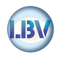 Learn Beyond Vision logo - Similar company to Oxsight Limited