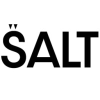 Salt Studio London logo - Similar company to Grafix Web Design
