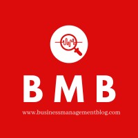 Business Management Blog logo - Similar company to Business Prodigys Limited
