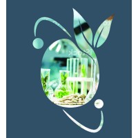 Nexfood srl logo - Similar company to Casini Service - Training & Consulting