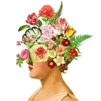 Charleston Flower Market logo - Similar company to Charleston Brace Co, Llc