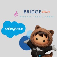 Bridge2Tech Academy logo - Similar company to Docwind