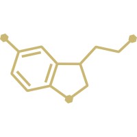 Laura Hof Alchemy logo - Similar company to Wim Hof Method