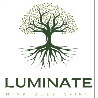 Luminate logo - Similar company to Uspih Enterprises
