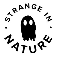 Strange in Nature logo - Similar company to Creative Influence Marketing Agency