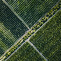 Moldova High Value Agriculture logo - Similar company to Noname
