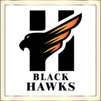 The BlackHawks-UAVs logo - Similar company to Tech Macc Drones