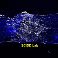 SCiDD Lab logo - Similar company to Expertscape