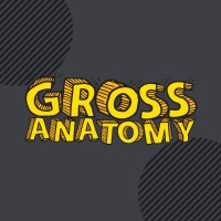 Gross Anatomy Studios logo - Similar company to Quantified Publishing