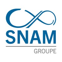 SNAM Groupe logo - Similar company to Stem International