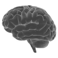 Critical Thinking Strategies logo - Similar company to Macat - Critical Thinking