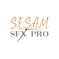 SESAM SFX PRO logo - Similar company to Sesam