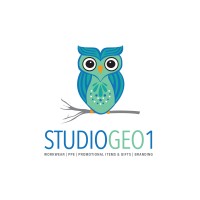 Studio Geo1 logo - Similar company to Mthucebi Management Consulting