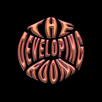 The Developing Room logo - Similar company to Fourfour Digital