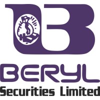 Beryl Securities Limited logo - Similar company to Hubco.In