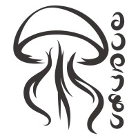 Meduza Books ～ გამომცემლობა მედუზა logo - Similar company to Sulakauri Publishing • სულაკაურის გამომცემლობა