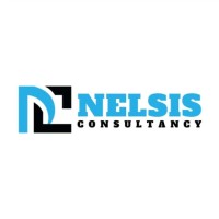 Nelsis Consultancy logo - Similar company to Nelsis Group