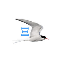 noryX | AI Growth Companion for Ecommerce logo - Similar company to Zeroed