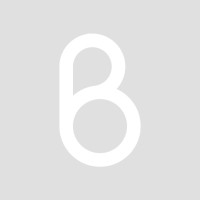 Berger Studios GmbH logo - Similar company to Teamy | تيمي