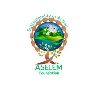 ASELEM logo - Similar company to Ghana Proptech Association