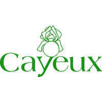 Iris Cayeux logo - Similar company to Innotec - Print Different