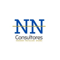 NN consultores logo - Similar company to N&N Consulting