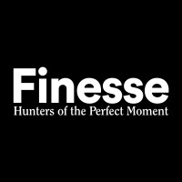 Finesse logo - Similar company to Glocally